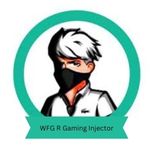 WFG R Gaming Injector